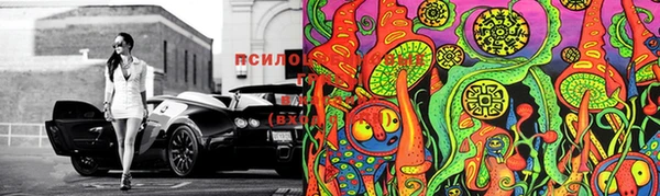 mix Козловка