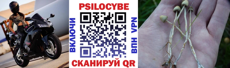 Галлюциногенные грибы мухоморы  Купить закладки  Можга 