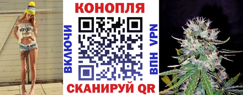 Купить где  Можга  Канабис план 